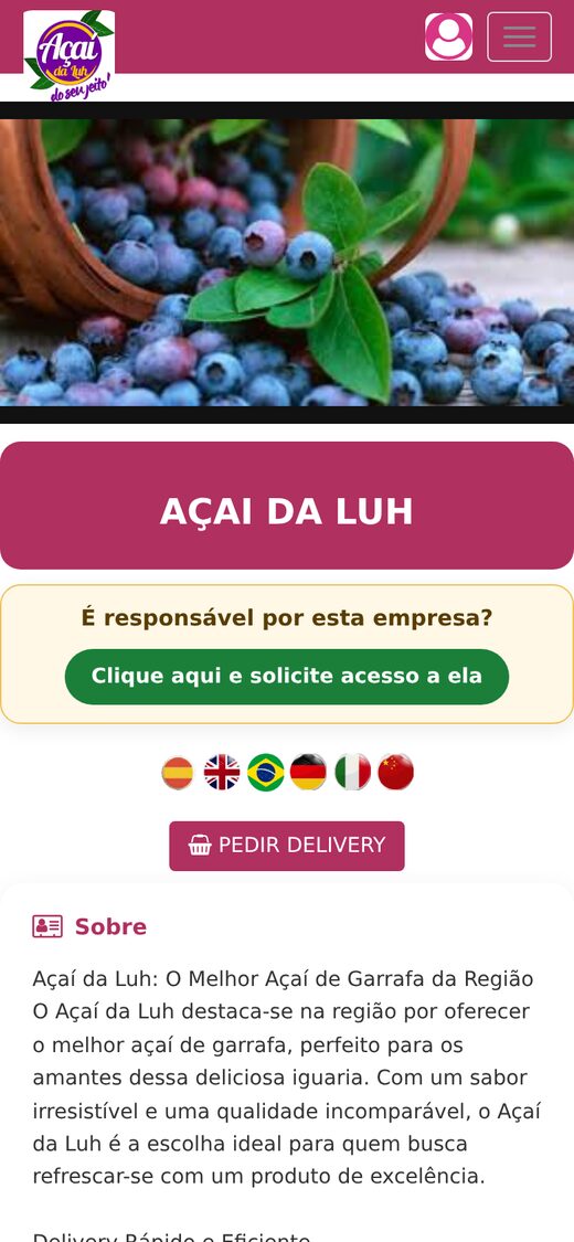 Página da empresa no celular
